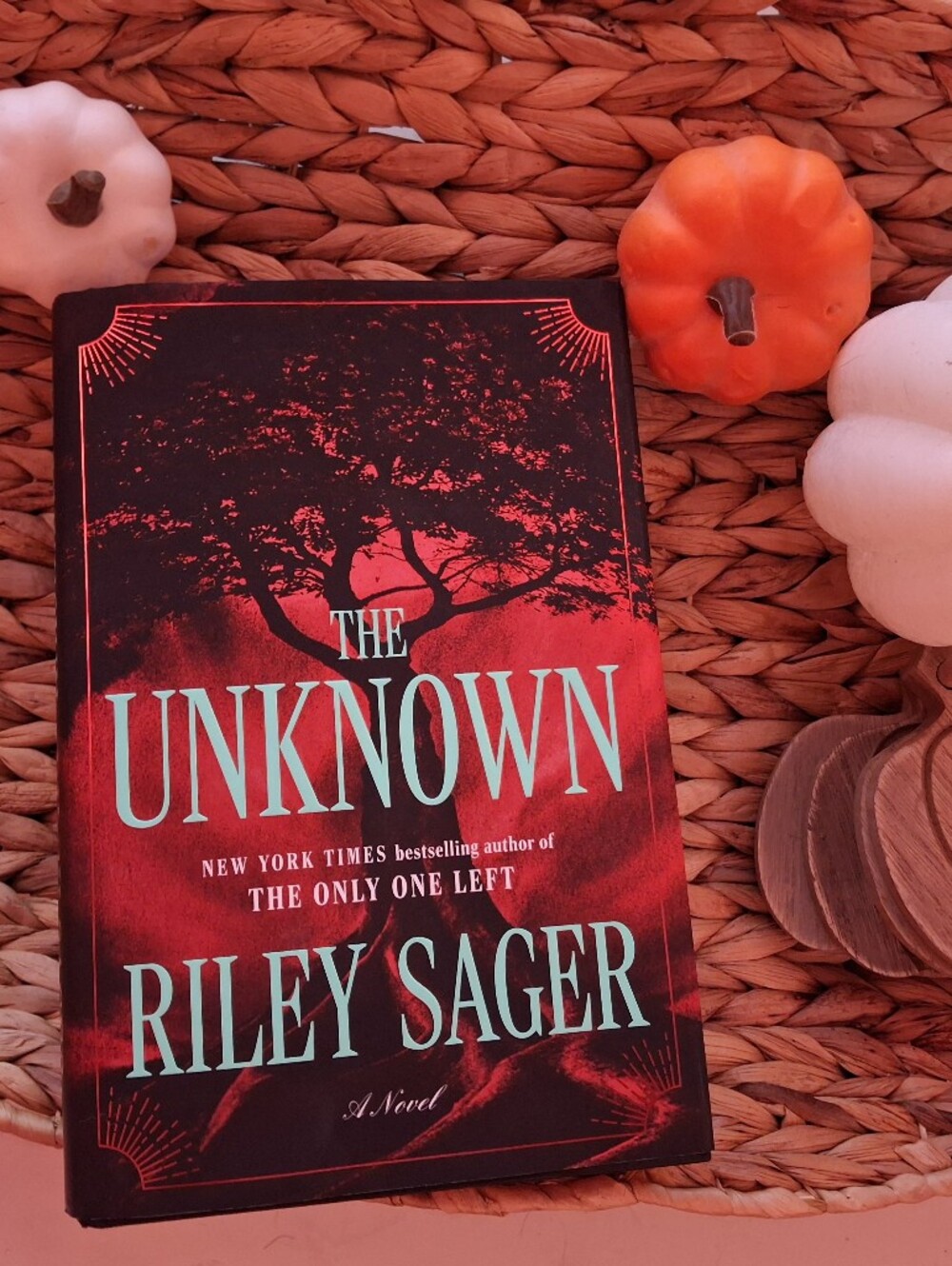 The Unknown by Riley Sager hardcover book sprayed edges thriller mystery